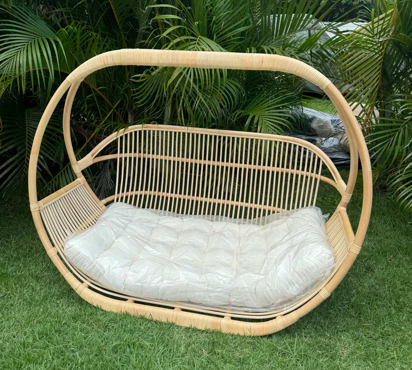 Double Rattan Swing